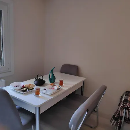 Modern Homestay In Kadikoy, *